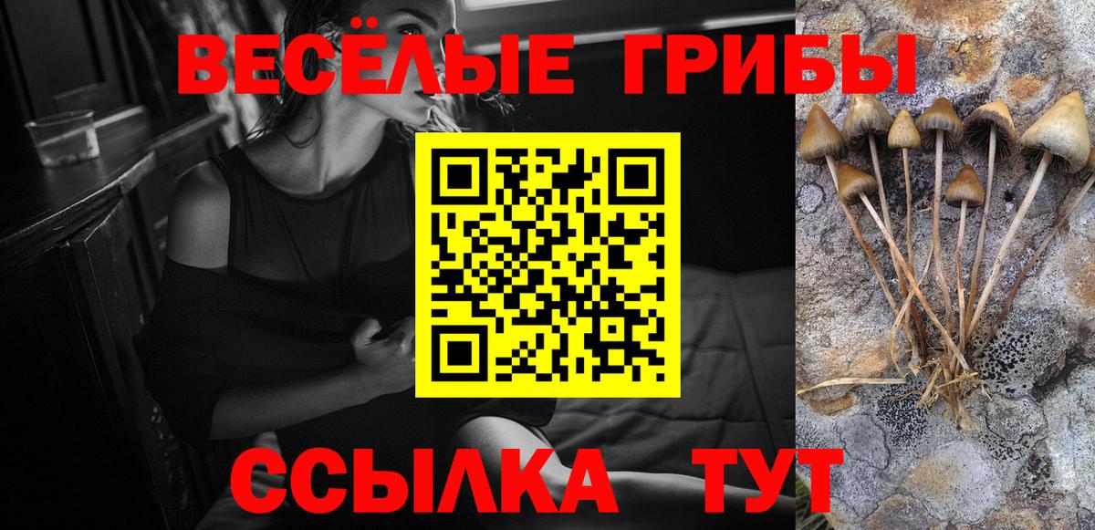 Галлюциногенные грибы Psilocybe Екатеринбург