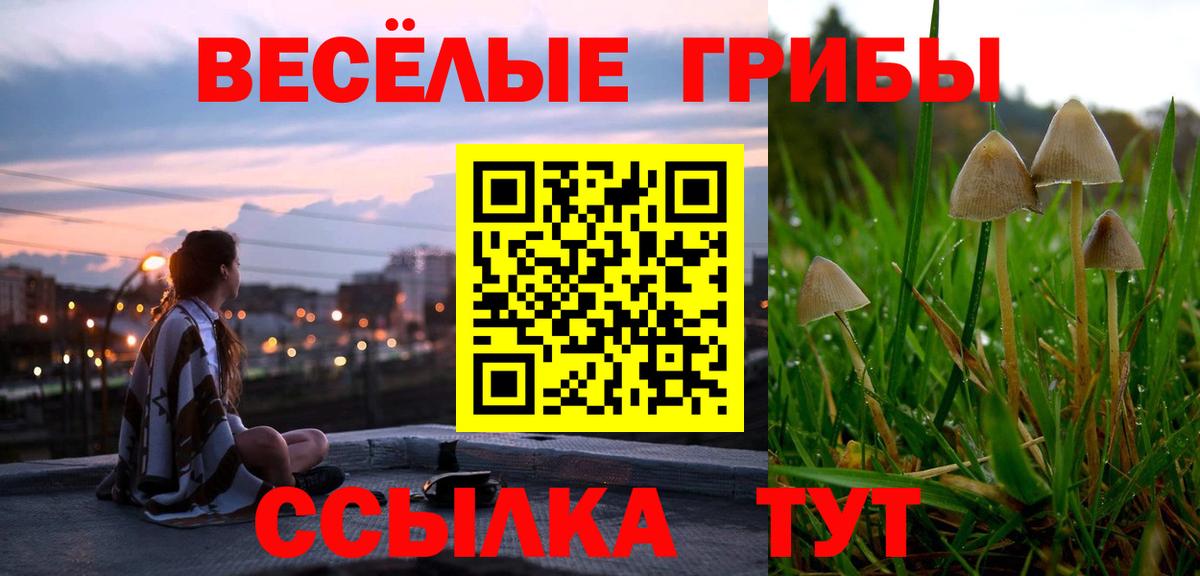 Екатеринбург  Псилоцибиновые грибы мухоморы  где продают   Вход с VPN 